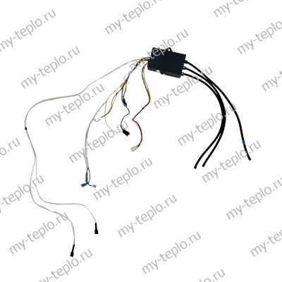 Блок управления для газовой колонки Лемакс Альфа 20М (blokupLemAlpha20M)